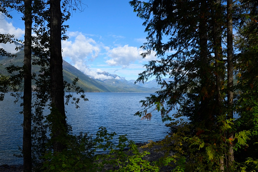 Mountain View Through the Trees of Echo Bay British Columbia Canada