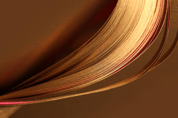 istock Selective soft focus Abstract Gold (bronze) wave lines luxury ribbons on brown copy space background. 1663332869