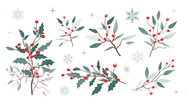Winter background with berry branches. Christmas illustration. vector art illustration