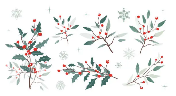 Vector illustration of Winter background with berry branches. Christmas illustration.