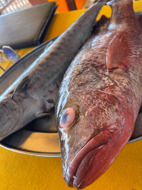 Close-up image of beach restaurant al fresco dining scene with yellow tablecloth covered table containing metal serving tray of red snapper (Lutjanus campechanus) and kingfish (Scomberomorus guttatus), sunglasses, menu Stock photo showing close-up view of outdoor seating and tables of a restaurant on beach with metal serving platter of freshly caught kingfish and red snapper selected by restaurant patrons to be cooked and served for a meal. salmon and red snapper stock pictures, royalty-free photos & images
