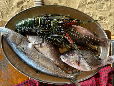 Stock photo showing elevated view of freshly caught lobster, kingfish and red snapper selected by restaurant patrons to be cooked and served for a meal.