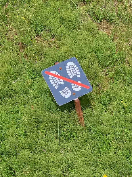 istock sign walking at meadow forbidden to protect the small  plants 1663366721