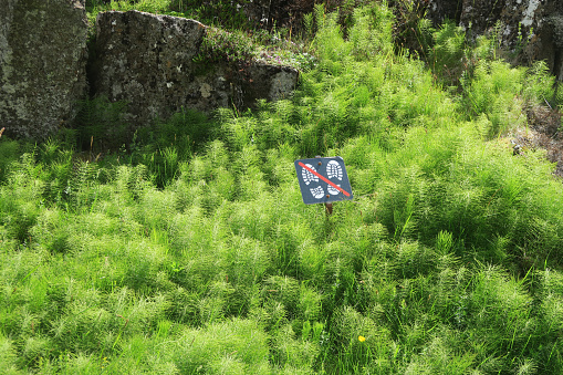 sign walking at meadow forbidden to protect the small new plants