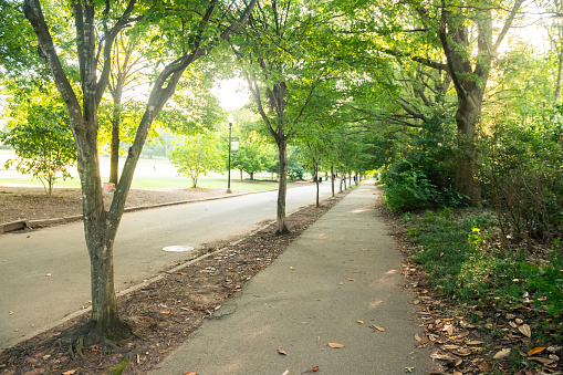 This is a photograph of a shady sidewalk with trees outdoors at Piedmont Park in Atlanta, Georgia during summer.