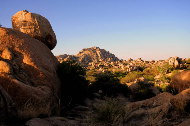 istock Texas Canyon Sonora Desert Arizona 1663419859