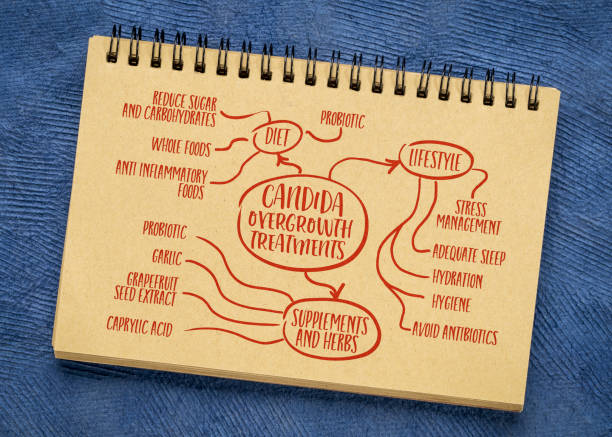 istock candida overgrowth treatment - infographics or mind map sketch on a notebook - wellness and health concept 1663419886