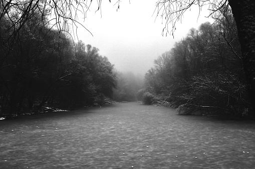 Tree branches in winter over a stream in Hinchingbrooke Country Park, Huntingdon, UK.