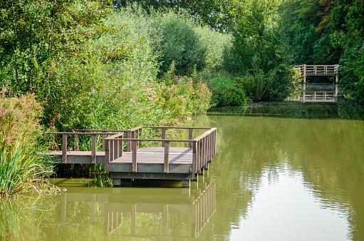 Wooden fishing platform and wooden bridge in a lush environment in a park in Rijswijk, The Netherlands