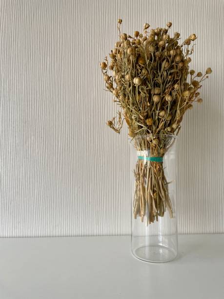 istock Bunch of dried flowers on white background 1663449719