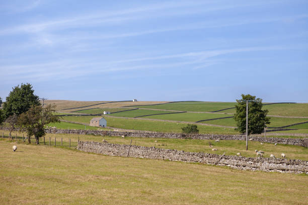 istock Stone walls around rural fields in Yorkshire, England, during a summer day. 1663469849