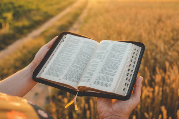 istock Open bible in hands, wheat field and road, christian concept 1663474544