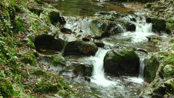 istock stream of crystal clear waters in the mountains 1663476746