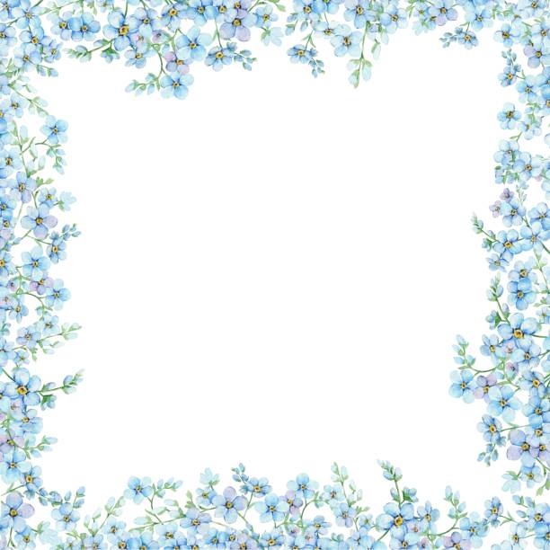 istock Blue forget-me-nots, floral square frame with place for text. Spring flowers Scorpion Grass, Myosotis. Hand draw watercolor illustration template for wedding anniversary, birthday 1663480698