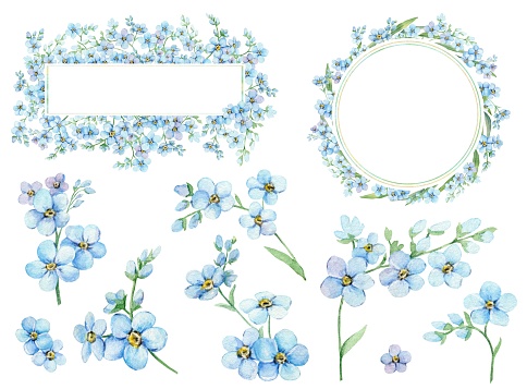Set of blue forget-me-nots, floral rectangular frame and round wreath with place for text. Spring flowers Scorpion Grass, Myosotis. Hand draw watercolor illustration for wedding anniversary, birthday.