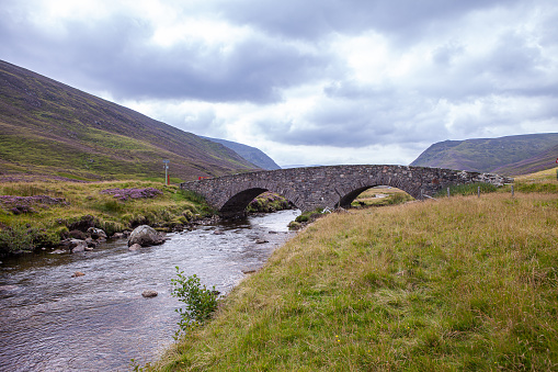 Lovely stone bridge in Scottish highlands on a summer day. Fields full of Calluna vulgaris, common heather, ling, or simply heather in full bloom. Violet blooms in Cairngorms national park.
