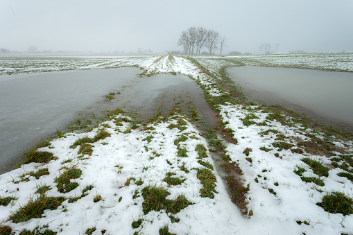 Little snow and frozen water in a farmland, view on a foggy January day, eastern Poland