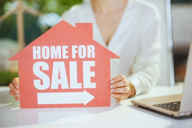 istock Elegant woman real estate agent in green office 1663503029