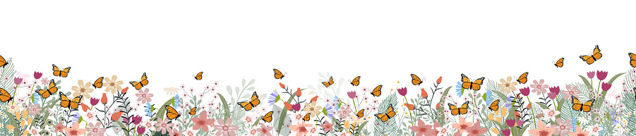 Seamless pattern flower border with butterfly,Horizontal floral backdrop decoration with cute multicolour wide flower and leaves frame on white background.Vector Spring or Summer botanical flat design