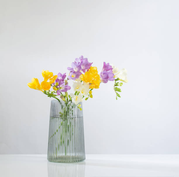 istock freesia flowers  in glass modern vase on white background 1663536971