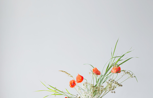 arrangement of wild flowers and plants on  gray background