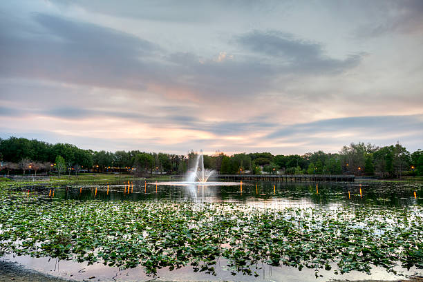 istock Sunrise at Lake Lilly Park 166356452