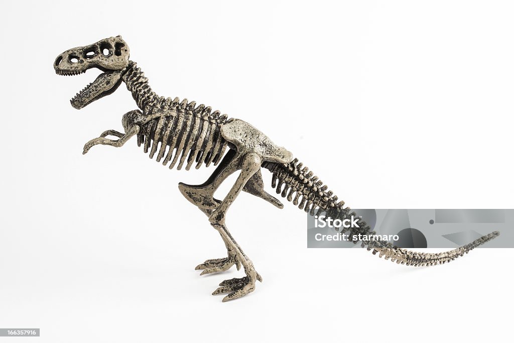 t-rex - Foto de stock de Museu royalty-free