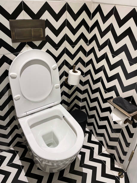 Close-up image of luxury hotel bathroom, black and white zig-zag patterned wall and floor tiles, wall hung push button flushing ceramic toilet with open lid, phone holder shelf, brass toilet roll holder and paper, pedal bin Stock photo showing a hotel bathroom featuring a white toilet with modern fittings include bathroom hygiene in the form of a hand shower bidet head attachment, which has been fixed to the wall next to the WC, complete with wall bracket and brass hose connection. pedal bin stock pictures, royalty-free photos & images