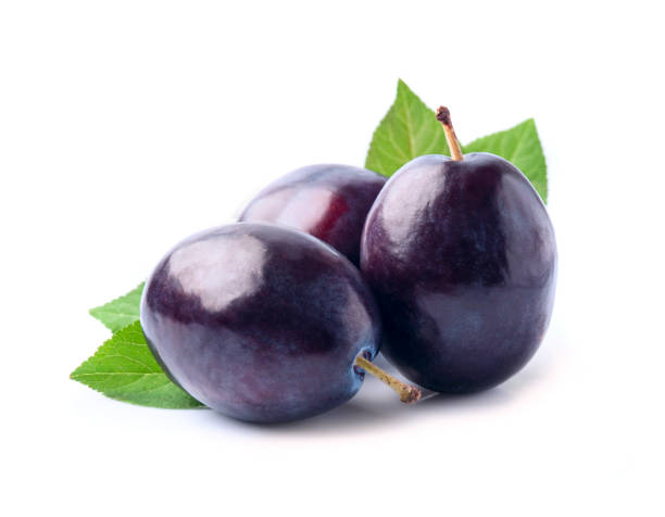 istock Sweet plums with leaves 1663589360