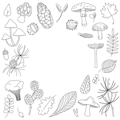 Autumn theme. Walk in the woods. Set of autumn fruit and mushrooms. Simple frame line art doodle style. Editable stroke vector illustration. Elements for design