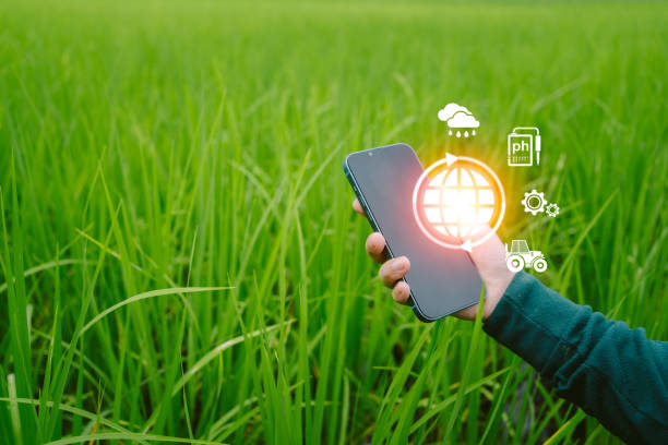 istock Modern Farmer Smartphone Technology Managing Agriculture with Virtual Screens, weather forcast, setting system, harvesting machine 1663620839