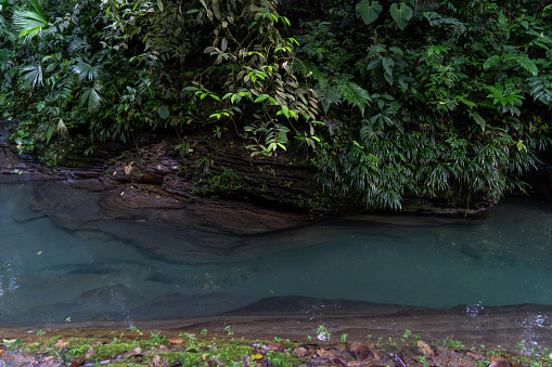 Natural landscape with pure water, green forest in tropical jungle