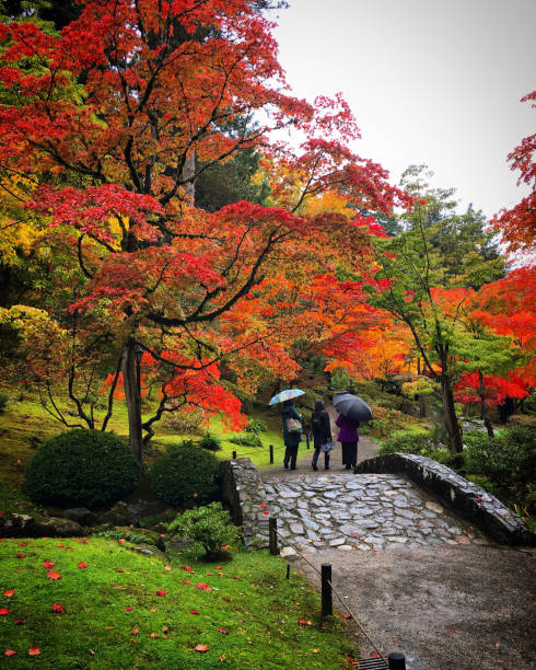istock Colorful Fall Leaves on a Rainy Day 1663634573