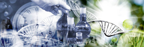 istock Collage on which flasks and a gloved hand holding a test tube, as well as transparent silhouettes of people and a large clock dial against the background of stylized DNA chains 1663634576