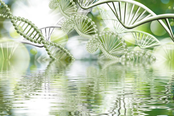 istock image consisting of various stylized DNA chains in space along with balls and the reflection of all this in the water surface 1663635083