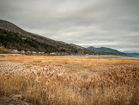 Golden shoreline grasses in front of quaint coastal village. (Charlevoix, Quebec Canada)
