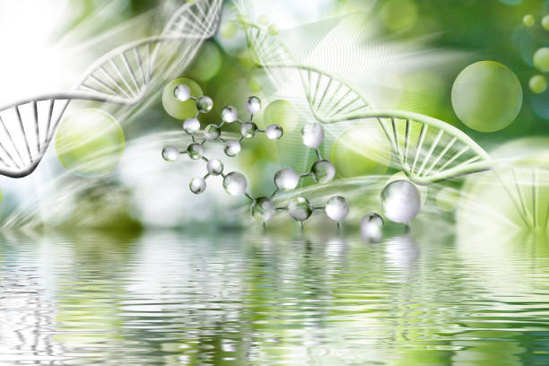 istock image consisting of various stylized DNA chains in space along with balls and the reflection of all this in the water surface 1663635110