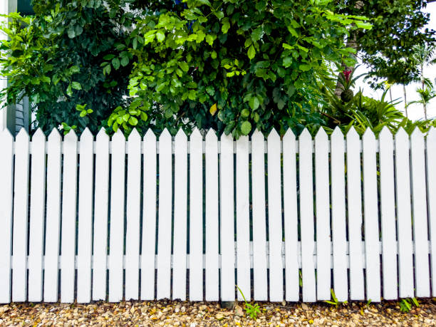 istock Wooden picket garden fence and green tropical plants 1663643270