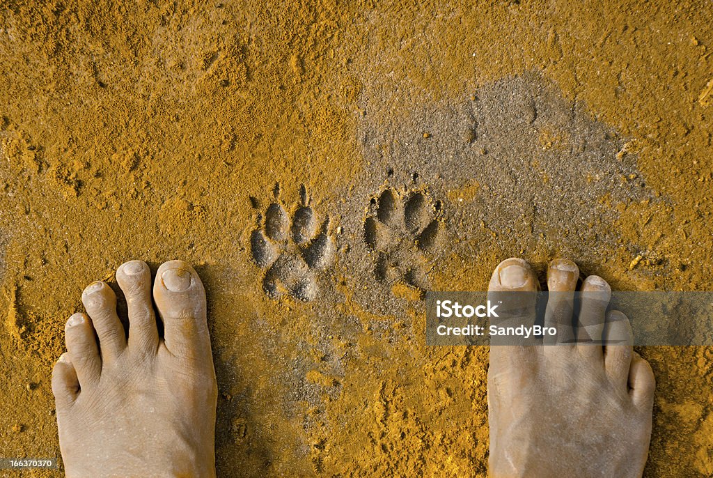 Zampa stampe a piedi e umano - Foto stock royalty-free di Ambientazione esterna