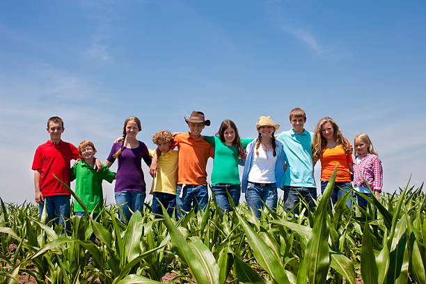 equipa de modelo as adolescências e crianças campo de milho-quinta - agriculture teamwork farmer people imagens e fotografias de stock