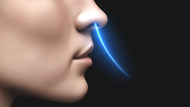 breath in nose show animation footage 4k