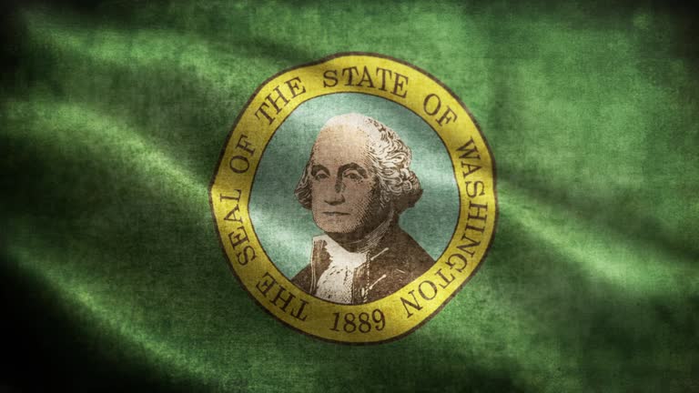 American State Closeup of grunge Washington waving flag loopable stock video
