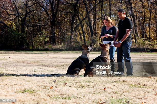 Real Personen Multiethnische Paar Zwei Hunde Im Park Stockfoto und mehr Bilder von Afrikanischer Abstammung