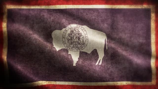 American State Closeup of grunge Wyoming waving flag loopable stock video