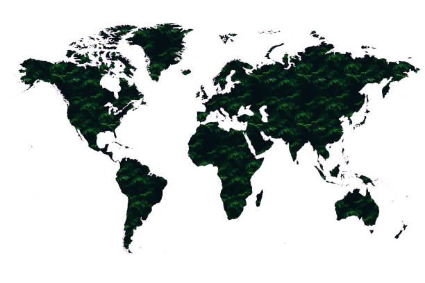 istock World map made up of various detailed trees on solid white background including the shadows. This 3D illustration of a forest is conceptual of the global green environmental issues worldwide 1663787853