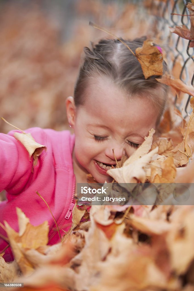 Vraies personnes: Jeu Caucasien petite fille automne feuilles Tête et épaules - Photo de 2-3 ans libre de droits