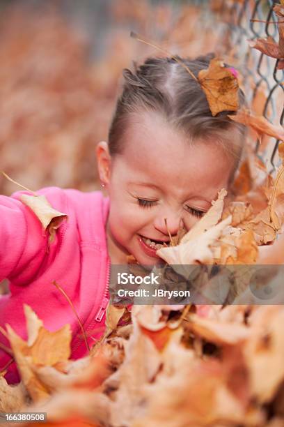 Photo libre de droit de Vraies Personnes Jeu Caucasien Petite Fille Automne Feuilles Tête Et Épaules banque d'images et plus d'images libres de droit de 2-3 ans