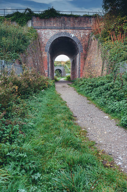 istock Path under the railway bridge to the park 1663814597