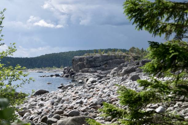 istock summer evening in the Swedish archipelago 1663859710