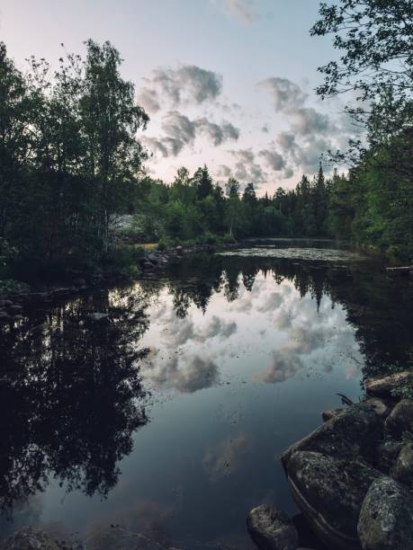 istock summer evening in the Swedish archipelago 1663863023